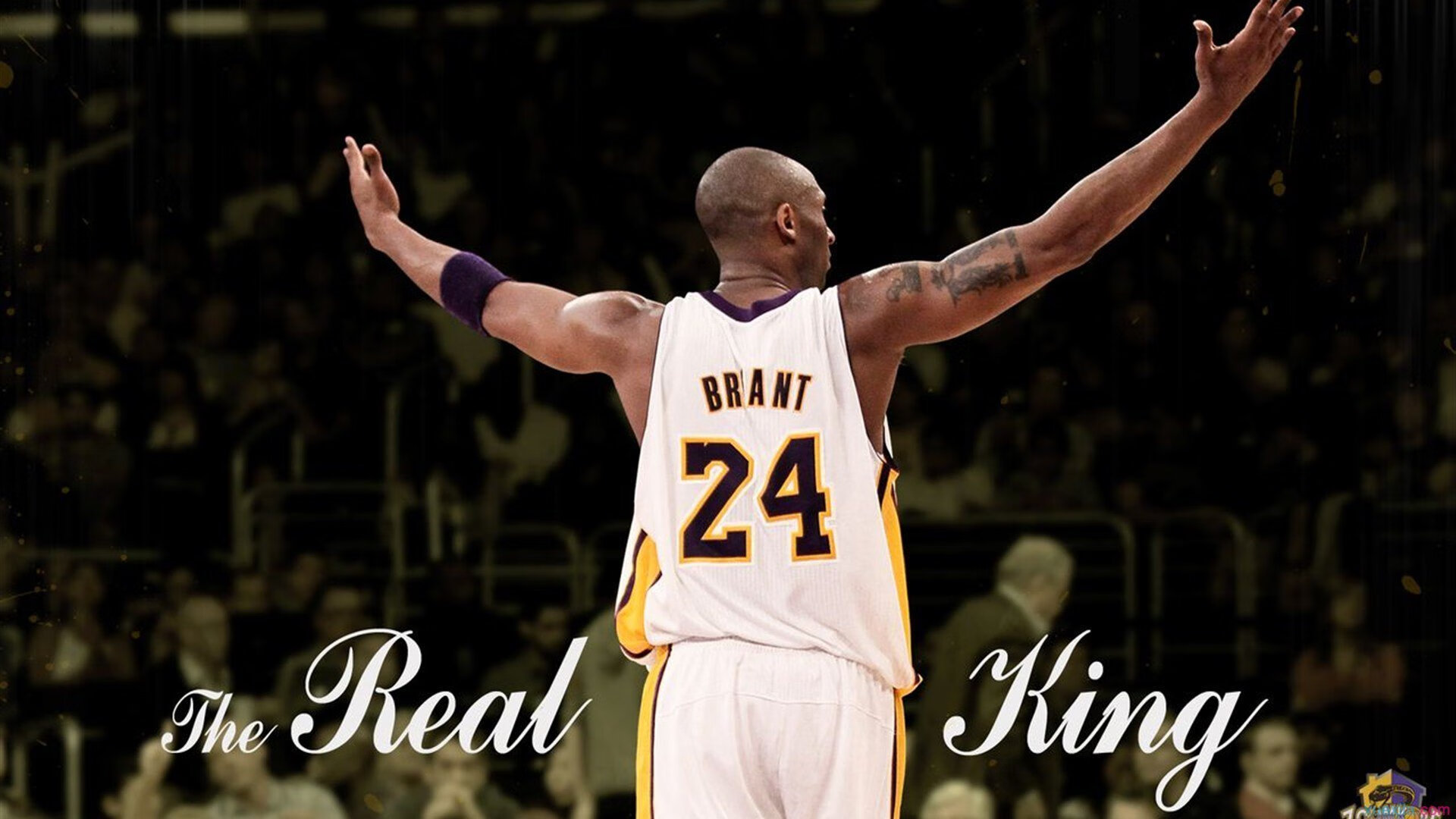 九游体育网址-《电竟行业新兴职业：战队管理与赛事策划》，电竞战队选拔